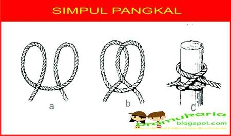 Simpul Pangkal